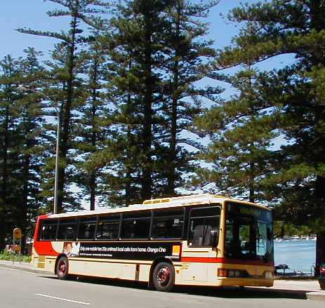 Westbus Mercedes O405 Custom Beach Bus